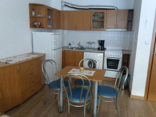 Studio in Hotel Laplandia - 7