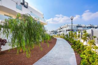 Explorer's Beach Apartment - Granadilla de Abona - 3