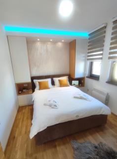 Zlatibor Apartman Aria Forest Spa & Gym - Zlatibor - 5
