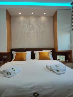 Zlatibor Apartman Aria Forest Spa & Gym - Zlatibor - 1