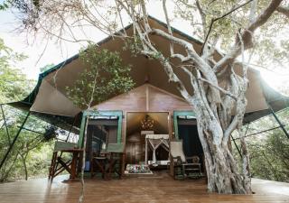 Tribe Yala - Luxury Camping - 3