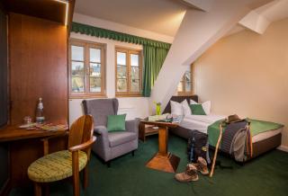 Hotel Saigerhütte - Olbernhau - 7