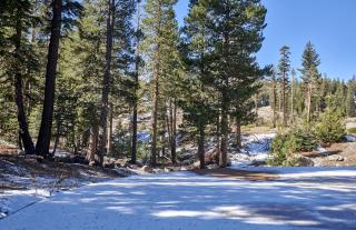 St Anton Wooded View 1-Bedroom Condos with Complimentary Hot Drinks - Mammoth Lakes - 4