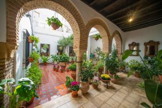 El patio de Regina - Córdoba - 0