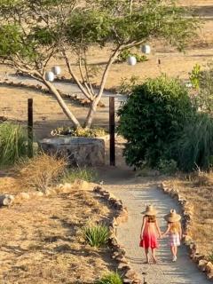 Finca Vidandrei CASA MAZAHUA - 4