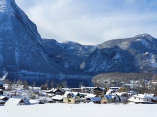 Haus Salzkammergut - 8