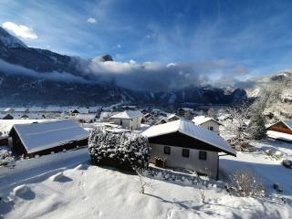 Haus Salzkammergut - 7