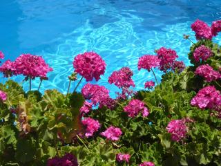 Romantica Hotel - Georgioupolis - 3