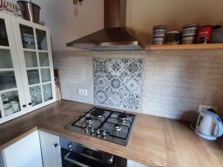 Starry Laz mountain house - Ravna Gora - 1