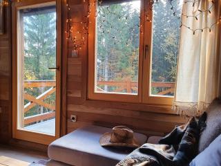 Starry Laz mountain house - Ravna Gora - 4