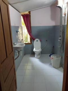 Johnson's Homestay With Pool & Ecohouseboat near town beach - 7