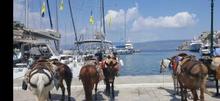 Villa ADA - Hydra - 5