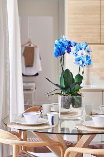 Slow Home Apartments - 2