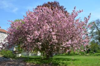 Katrinebergs Folkhögskola B&B - 1