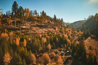 Škandinávske domčeky-lesná sauna a ubytovanie - 7