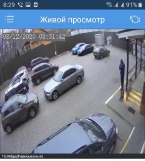 Затишна, домашня 43м в тихому зеленому місці Поруч Центральний парк Університет - 1
