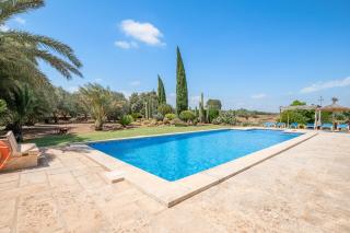 Finca Ses Rotes de Son Rossinyol - 8