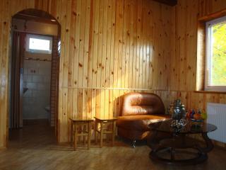 Vyshenka Guest House - Yaremtche - 2