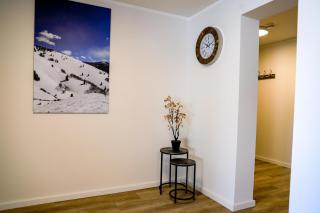 Smart Resorts Haus Brilliant Ferienwohnung 602 - Winterberg - 3
