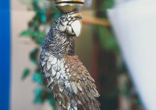 JUNGLE SUITE --- VASCA in camera - 3