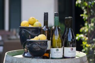 Wein und Landhaus Kallfels - Kröv - 5
