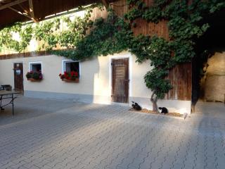 Landhof Ella - Ferienhaus vor den Toren Salzburgs - Petting - 1