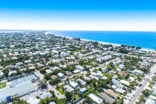 Southern Magnolia - 3