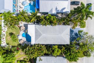 Southern Magnolia - 1