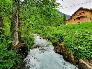 Gletscher Chalet - 6
