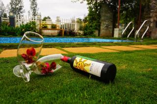 La Niebla Farm Resort - Ooty - 2