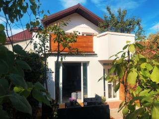 Casa Scheiana - Braşov - 0