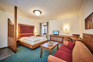 Hotel zur Post - Bad Koetzting - 9