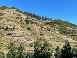 Mountain Eco Shelter 2 - Funchal - 5