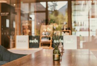 TRAUBE BRAZ Alpen Spa Golf Hotel - Bludenz - 1