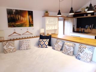 Apartmán Jeseníky - Karlovice - 3