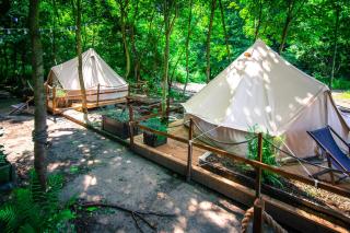 Glamping Ławica- spływy Przełomem Bardzkim - 5