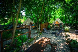Glamping Ławica- spływy Przełomem Bardzkim - 6