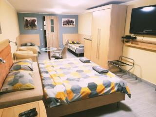 Pokoje Gościnne Biały Słoń - 4