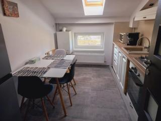 Collot Residence Sibiu - Sibiu - 5