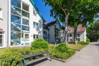 Seestern - Zempin - 8