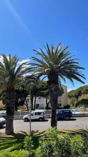 APPARTEMENT T2 GRUISSAN PLAGE DANS RÉSIDENCE CALME - Gruissan - 0