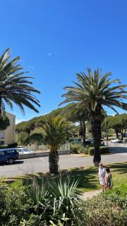 APPARTEMENT T2 GRUISSAN PLAGE DANS RÉSIDENCE CALME - Gruissan - 3