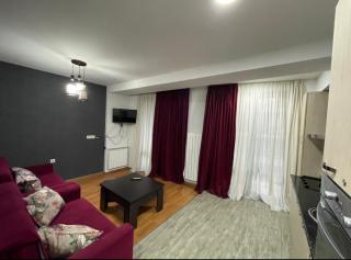 Area Park Bakuriani - Bakuriani - 9