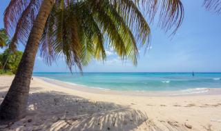 Lantana Barbados Condos - Saint James - 6