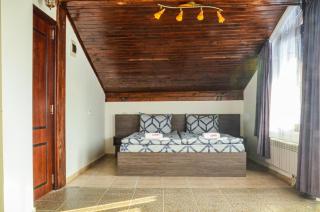 Family hotel Andreev - Dobrinishte - 8