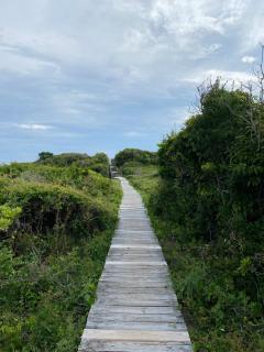The Beacon - Salter Path - 3