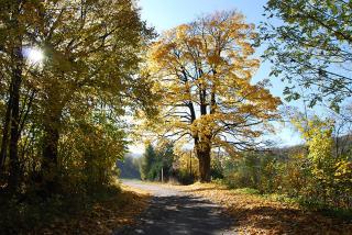 Spalona Apartament Jagodna - 8