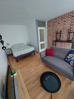 Studio Championnet, balcon, haut confort - Grenoble - 5