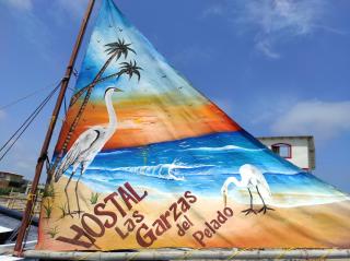 Hostal LAS GARZAS DEL PELADO - Playas - 7