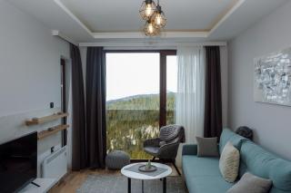 Vila Planinsko Blago - Kopaonik - 2